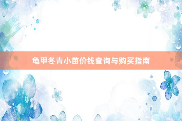龟甲冬青小苗价钱查询与购买指南