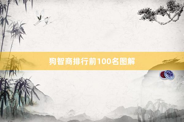 狗智商排行前100名图解