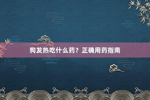 狗发热吃什么药？正确用药指南